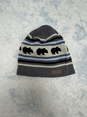 Gray Bear Stripe Beanie Hat from Alaska (never worn)